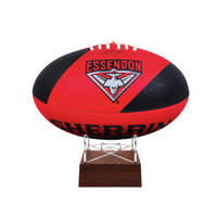 Essendon Bombers Football Urn on stand
