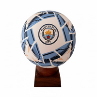 Manchester City FC Soccer Cremation Urn