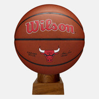 Chicago Bulls NBA Cremation Urn