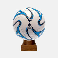 Tottenham Hotspur FC Soccer Cremation Urn
