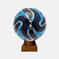 Tottenham Hotspur FC Soccer Cremation Urn