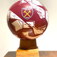 Soccer Ball Urns