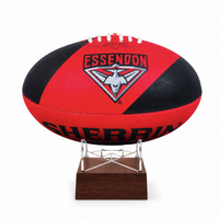 Essendon Bombers Football Urn on stand