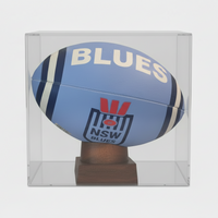 NSW Blue urn in case