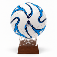 Tottenham Hotspur FC Football Urn
