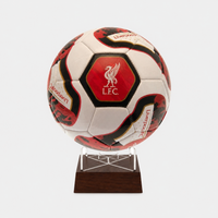 Soccer Ball Urns