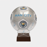 Soccer Ball Urns