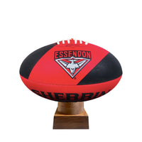 Essendon Bombers Urn for Ashes with personalised timber display stand